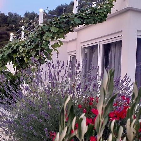 Vis - Luxury Holiday Villa With Swimming Pool מראה חיצוני תמונה