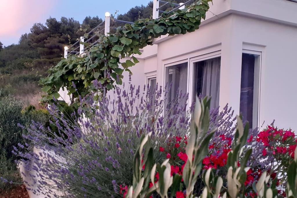 Vis - Luxury Holiday Villa With Swimming Pool מראה חיצוני תמונה